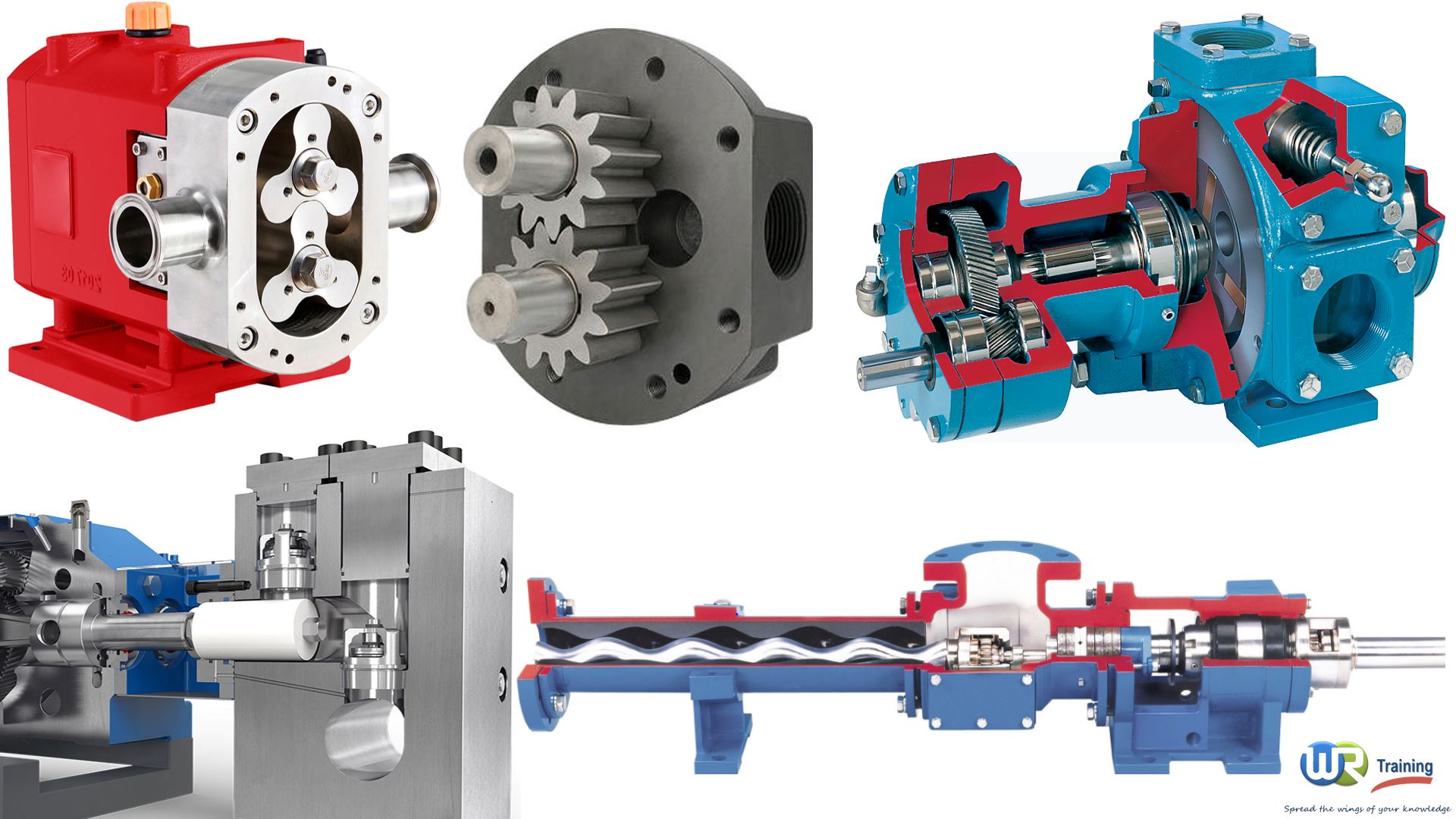 Types Of Gear Pump Gear Displacement Pump QKWD Types Of Gear Pump Gear Displacement Pump QKWD